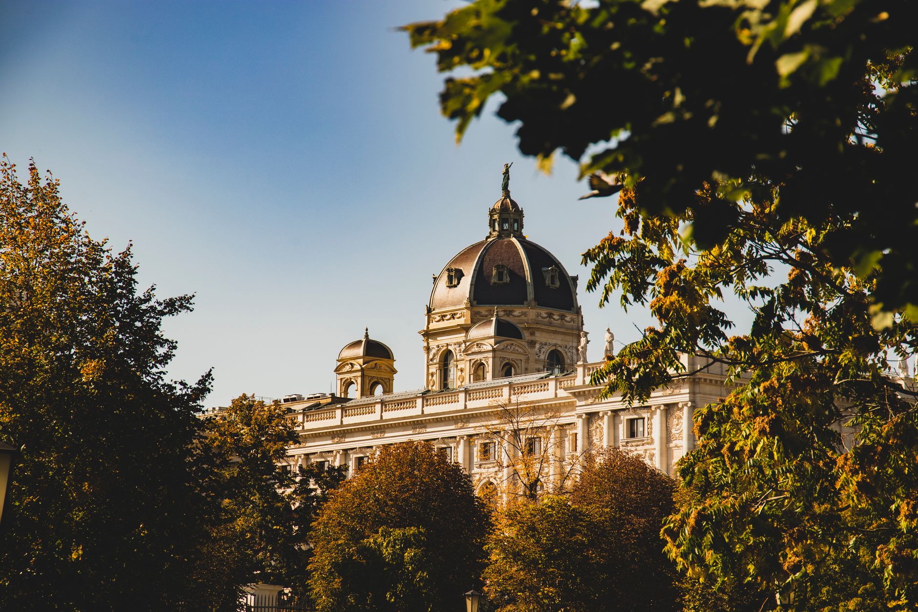 Uitzicht op het Kunsthistorisches Museum door de bomen heen